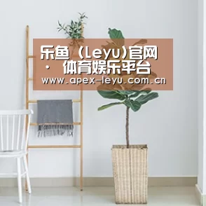 产品名称六