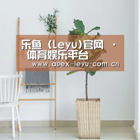 产品名称六(图1)