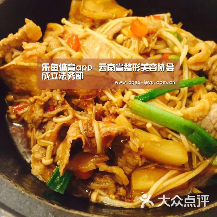 乐鱼体育app-云南省整形美容协会成立法务部(图1) 乐鱼体育