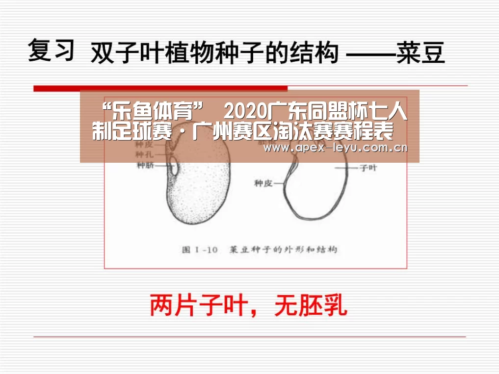 乐鱼app
