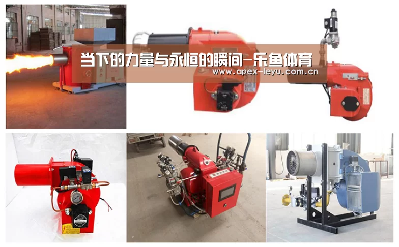 当下的力量与永恒的瞬间-乐鱼体育(图1) 乐鱼体育app