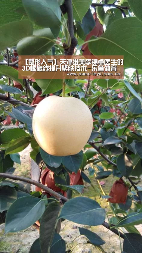 【整形人气】天津维美李锦卓医生的3D螺旋线提升紧肤技术-乐鱼体育app(图1) 乐鱼体育app