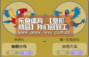 乐鱼体育_【整形精品】我们回到工作单位后应该注意些什么呢(图1) 乐鱼体育