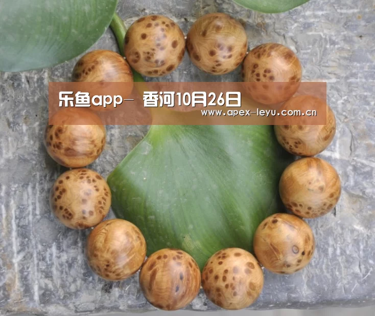 乐鱼app