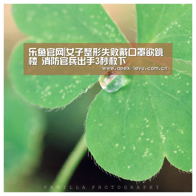 乐鱼官网