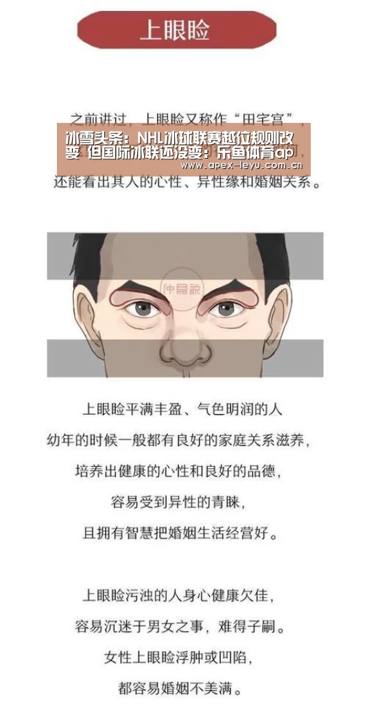 乐鱼app