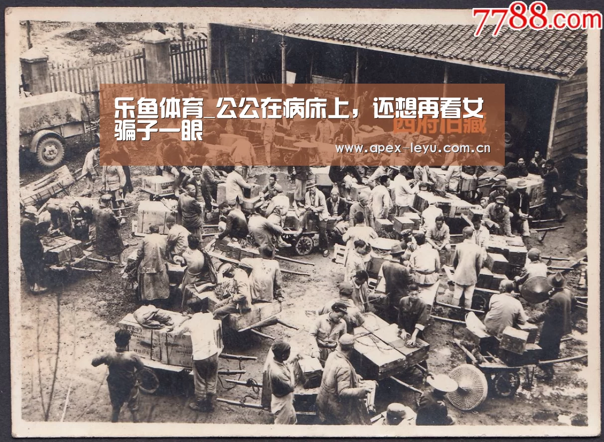 乐鱼体育