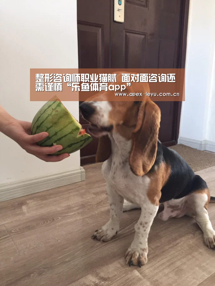 整形咨询师职业猫腻 面对面咨询还需谨慎“乐鱼体育app”