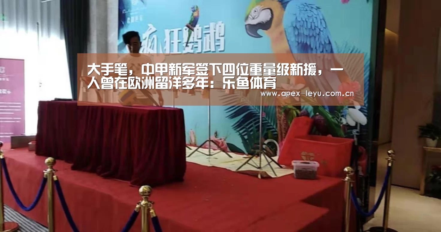 大手笔,中甲新军签下四位重量级新援,一人曾在欧洲留洋多年:乐鱼体育(图3) 乐鱼体育app